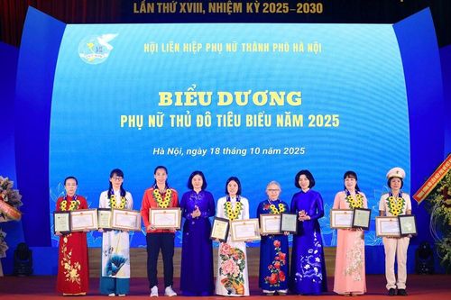 'Đả nữ' Hà Thị Linh và nghị lực phi thường