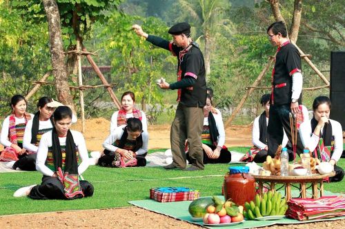 Men cơm mới của người Thái xứ Thanh
