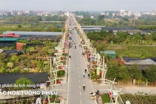 Du lịch Hà Nội: Khám phá xã Phúc Thọ với 'Sắc hoa Tường Phiêu'