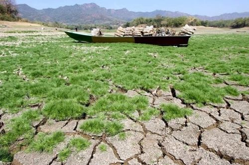 Cần đồng lòng hành động quyết liệt ứng phó biến đổi khí hậu trước khi quá muộn