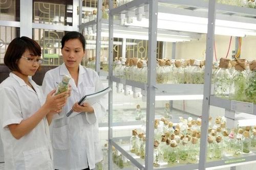 Nâng cao vai trò của phụ nữ trong phát triển khoa học-công nghệ