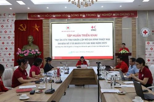 Hỗ trợ các hộ gia đình ở Nghệ An, Điện Biên ổn định cuộc sống, khôi phục sản xuất sau thiên tai