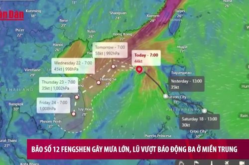 Bão số 12 Fengshen gây mưa lớn, lũ vượt báo động ba ở miền Trung