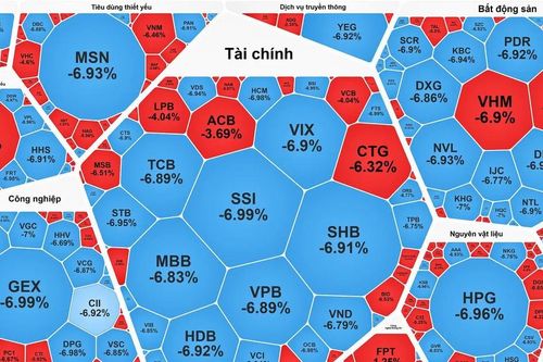VN-Index giảm kỷ lục, gần 95 điểm