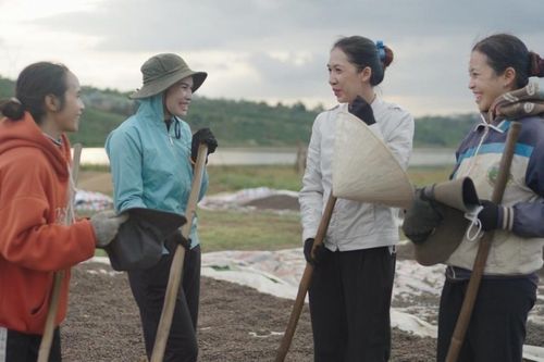 Thống kê lao động Việt Nam: Từ hiện đại hóa đến hội nhập toàn cầu