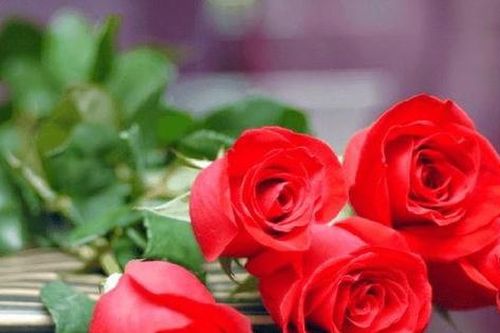 Lời chúc 20/10 ý nghĩa nhất dành tặng phái đẹp