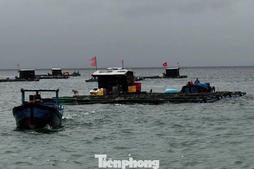 Biển động do bão số 12, đảo Bé Lý Sơn dự trữ 1 tấn gạo phòng bị cô lập