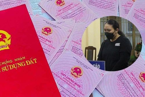 Đấu giá 11 lô đất của 'nữ quái' lừa đảo bán đất ảo ở Đà Nẵng
