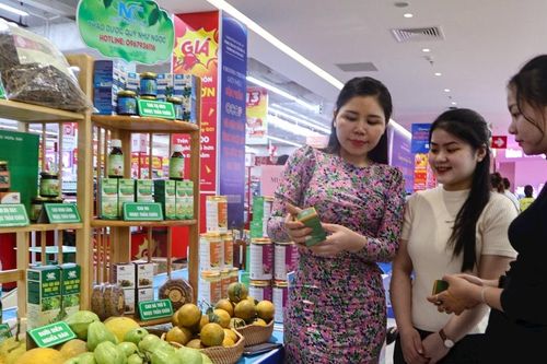 Những nữ doanh nhân Nghệ An gieo khát vọng từ nông nghiệp sạch