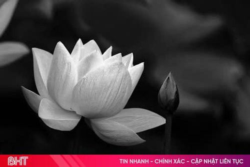 Lời cảm tạ