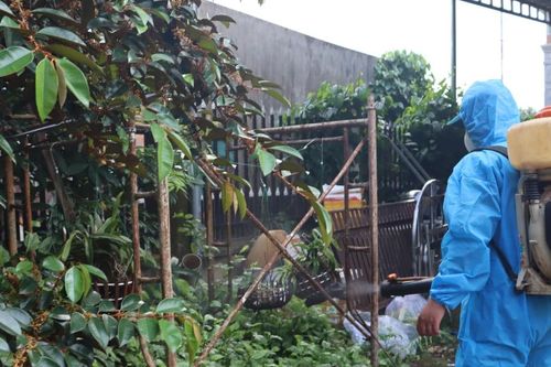 Thành phố Hà Nội ghi nhận 18 ổ dịch sốt xuất huyết trong tuần qua