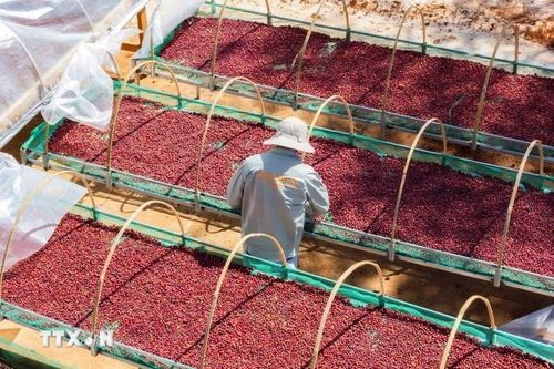 Gia Lai: Hơn 1.600 tỷ đồng xây dựng trung tâm nông nghiệp công nghệ cao