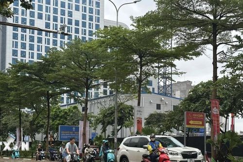 Chuyên gia Nhật Bản chia sẻ kinh nghiệm chống ngập lụt đô thị