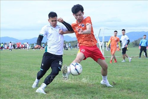 Thắt chặt tình cảm gắn bó cộng đồng Việt Nam và với người dân Nhật Bản