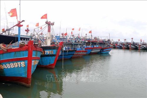 Ứng phó bão số 12: Huế kêu gọi tàu thuyền vào bờ neo đậu trước 19 giờ ngày 20/10