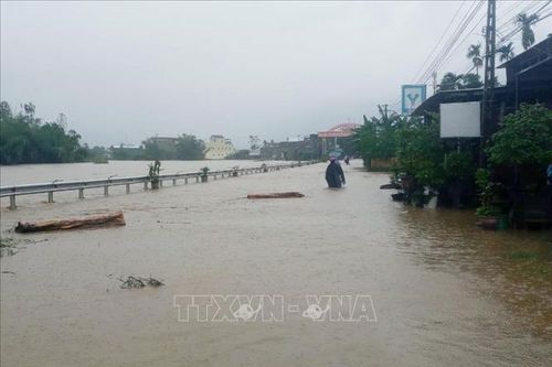 Quảng Ngãi cảnh báo lũ trên các sông lên cao do mưa lớn