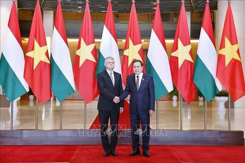 Việt Nam - Hungary thúc đẩy tăng cường tin cậy chính trị, mở rộng hợp tác song phương