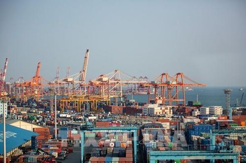 Kinh tế Hàn Quốc có dấu hiệu hồi sinh