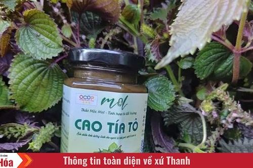 Phụ nữ xã Luận Thành năng động phát triển kinh tế