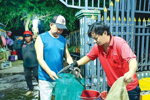 Nhộn nhịp 'chợ âm phủ' mùa nước nổi