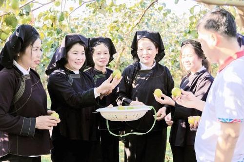 Du lịch cộng đồng ở Đại Sơn: Mở đường thoát nghèo bền vững