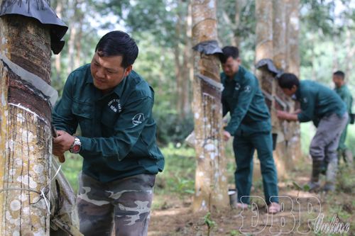 Sớm đưa Nghị quyết Đại hội Đảng bộ tỉnh vào cuộc sống