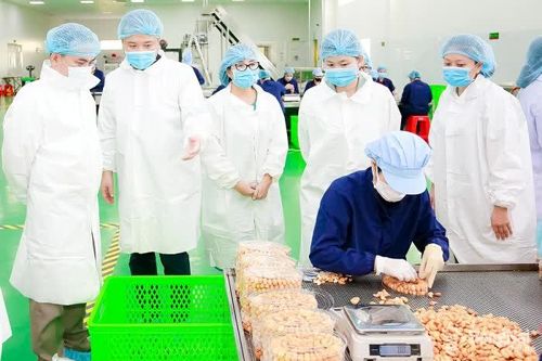 Sản phẩm công nghiệp nông thôn nỗ lực tìm thị trường tiêu thụ