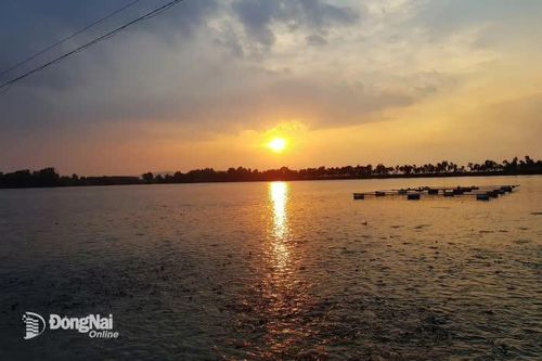 Một góc yên bình của Đồng Nai - nơi thời gian như dừng lại giữa chiều buông