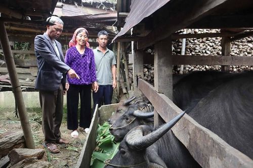 Xã Thu Lũm: Đẩy mạnh phát triển nông nghiệp theo hướng hàng hóa