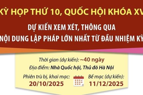 Kỳ họp thứ 10: Xem xét số lượng lập pháp lớn nhất từ đầu nhiệm kỳ