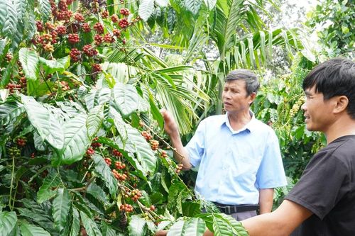 Nâm Nung đổi thay từ sức dân và ý Ðảng