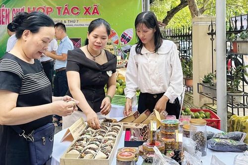 Khẳng định bản lĩnh phụ nữ Huế trong thời đại mới