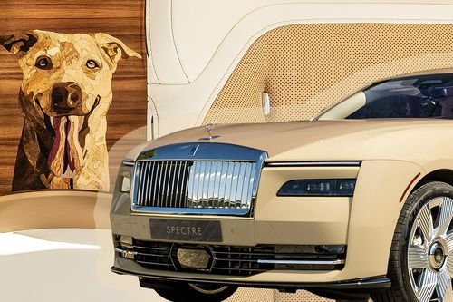 Chiếc Rolls-Royce Spectre Bailey mới được thiết kế riêng dành tặng cho một chú chó
