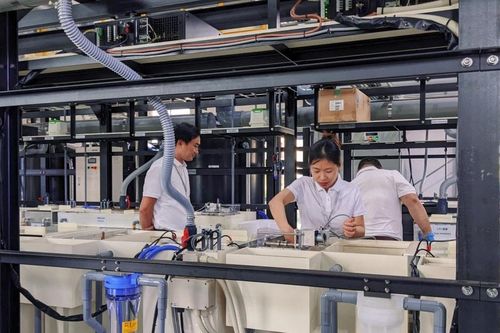 Việt Nam – Nhật Bản: Đột phá chuỗi cung ứng công nghệ cao