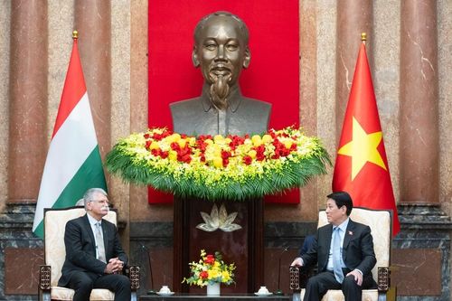 Chủ tịch nước Lương Cường tiếp Chủ tịch Quốc hội Hungary