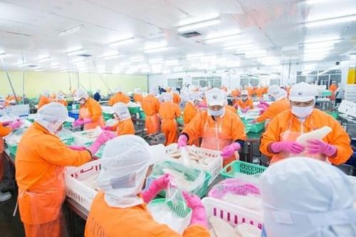 Sản lượng tăng, giá bán cải thiện giúp Công ty Nam Việt (ANV) báo lãi sau thuế quý III tăng gấp 10 lần