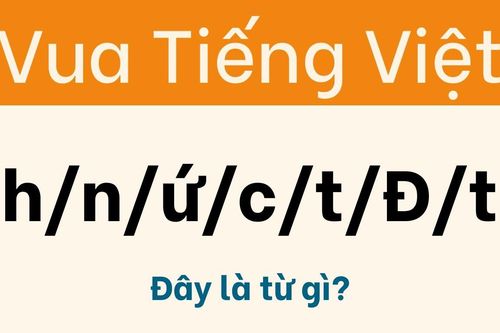 Đừng nhận là Vua tiếng Việt nếu giải sai câu đố này