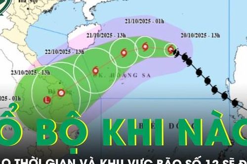 Tin bão mới nhất: Dự báo thời gian và khu vực bão số 12 sẽ đổ bộ, gây mưa lớn và lũ trên diện rộng