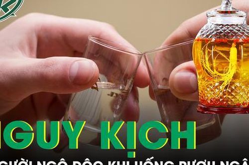 6 người đàn ông ở Nghệ An nguy kịch sau bữa rượu ngâm rễ cây
