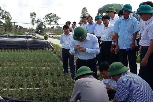 Nông nghiệp đại điền: Nghĩ lớn, làm lớn - Bài cuối: Hành trình không đơn độc