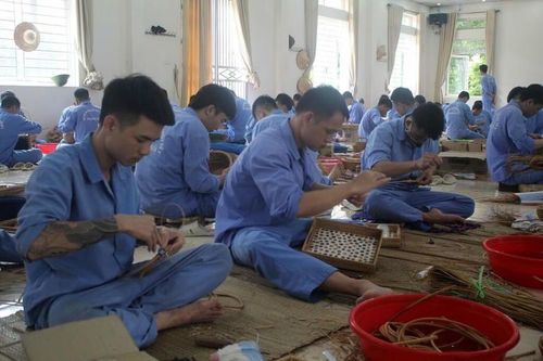Thủ tướng giao Bộ Công an xây dựng 20% xã, phường 'không ma túy' trong năm 2025