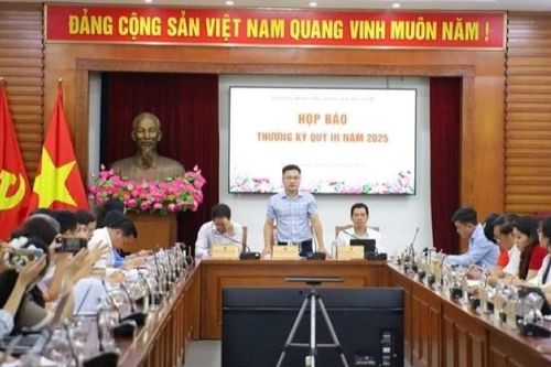 Định hướng văn hóa phim ngắn chiếu mạng