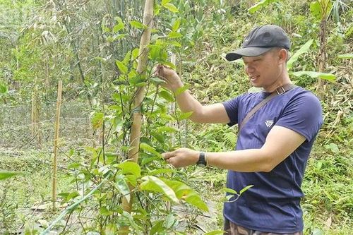 Nặng lòng với bản làng Cơ Tu
