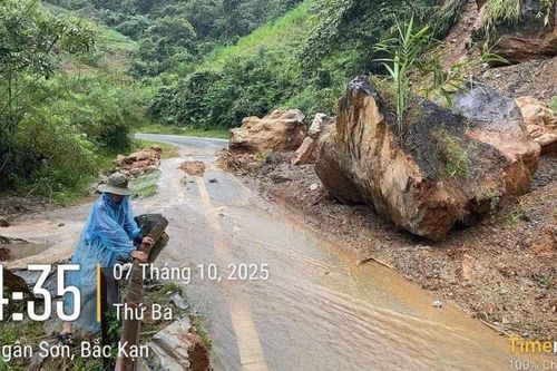Cục Đường bộ Việt Nam hoàn tất khắc phục hậu quả bão số 11: Thiệt hại ước tính hơn 387 tỷ đồng