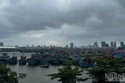 Người dân Đà Nẵng tất bật ứng phó bão số 12