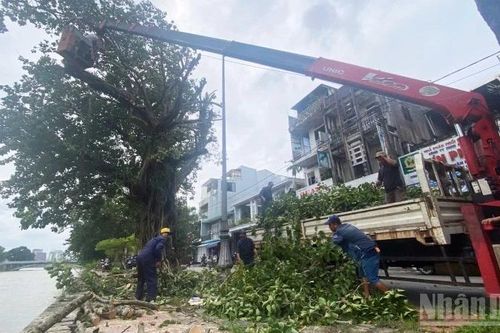 Ứng phó bão số 12, Huế bảo đảm an toàn cho du khách và người dân