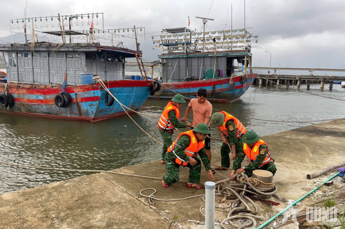 Hơn 1.000 tàu cá thành phố Huế vào nơi tránh trú an toàn trước bão số 12
