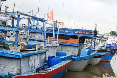 Kêu gọi tàu thuyền vào nơi neo đậu trước 15 giờ hôm nay, 21-10
