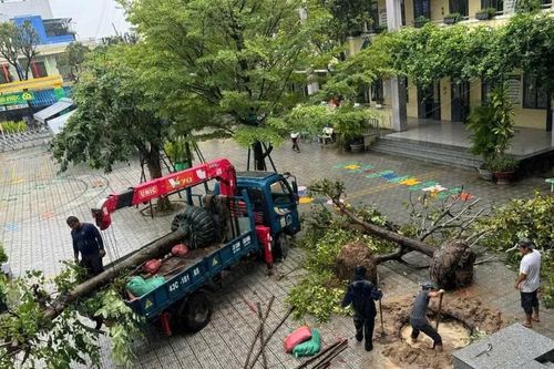 Đà Nẵng: Một số trường cho học sinh nghỉ học ngày 22-10 để tránh bão số 12