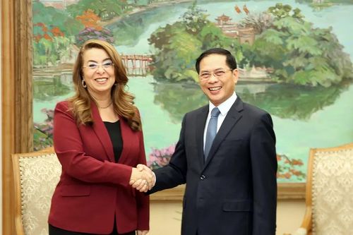 Việt Nam tăng cường hợp tác với Liên hợp quốc trong phòng chống tội phạm